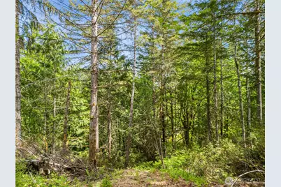 0 E Gerbing View Drive, Union, WA 98592 - Photo 1