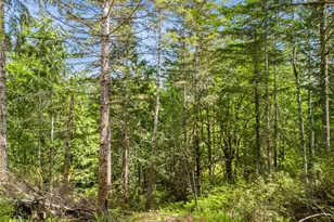 0 E Gerbing View Dr, Union, WA 98592 - Photo 1