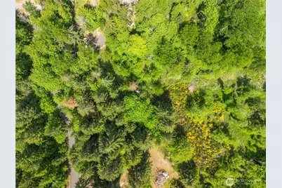 0 E Gerbing View Drive, Union, WA 98592 - Photo 9