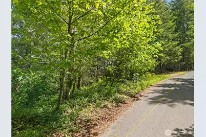 0 E Gerbing View Drive, Union, WA 98592 - Photo 27