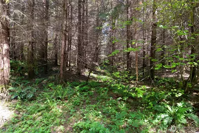 0 Orion, Longview, WA 98632 - Photo 3