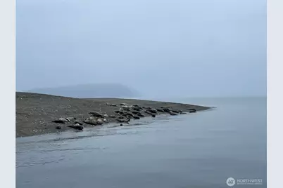 52 F Saratoga Drive, Hat Island, WA 98206 - Photo 19