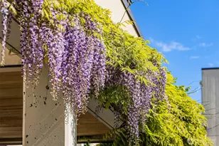 1009 Western Ave, Seattle, WA 98104 - Photo 19