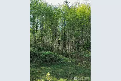 1513 State Route 8, McCleary, WA 98557 - Photo 31