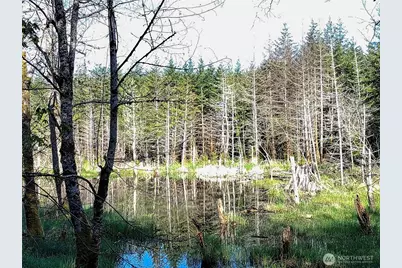 1513 State Route 8, McCleary, WA 98557 - Photo 27