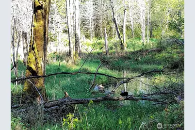 1513 State Route 8, McCleary, WA 98557 - Photo 15