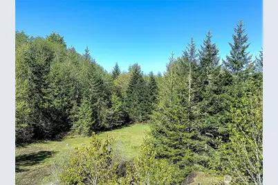 1513 State Route 8, McCleary, WA 98557 - Photo 3