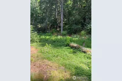 61 N Goldeneye Place, Hoodsport, WA 98548 - Photo 5