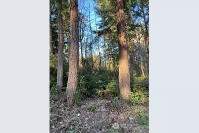 1 Huckleberry Lane, Port Ludlow, WA 98365 - Photo 5