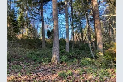 2 Huckleberry Lane, Port Ludlow, WA 98365 - Photo 7
