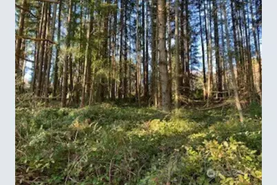 3 Huckleberry Lane, Port Ludlow, WA 98365 - Photo 7