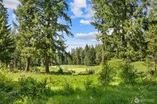 1390 Snowberry Loop, Cle Elum, WA 98922 - Photo 9