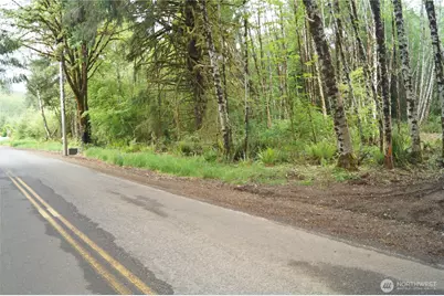 0 Nka North River Road, Cosmopolis, WA 98537 - Photo 3