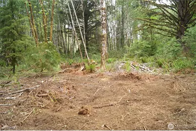 0 Nka North River Road, Cosmopolis, WA 98537 - Photo 7