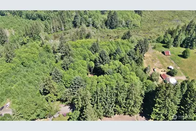 0 Nka North River Road, Cosmopolis, WA 98537 - Photo 9