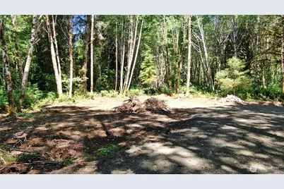 0 Nka North River Road, Cosmopolis, WA 98537 - Photo 5