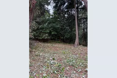 0 Nhn Hummingbird Lane, Anacortes, WA 98221 - Photo 3