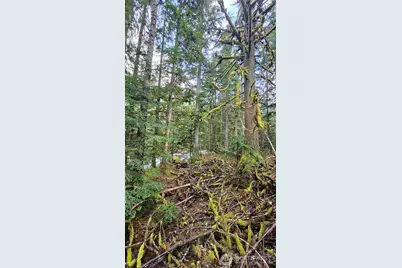 87020 NE 122nd Street, Skykomish, WA 98288 - Photo 1