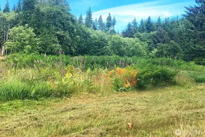 0 South Valley Lane #Lot 5, Naselle, WA 98638 - Photo 1