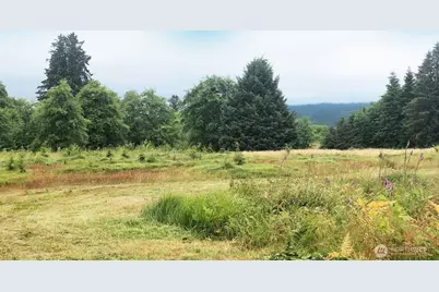 0 South Valley Lane #Lot 5, Naselle, WA 98638 - Photo 5