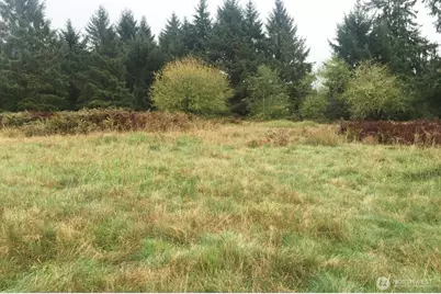 0 South Valley Lane #Lot 5, Naselle, WA 98638 - Photo 3