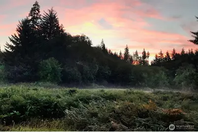 0 South Valley Lane #Lot 5, Naselle, WA 98638 - Photo 7