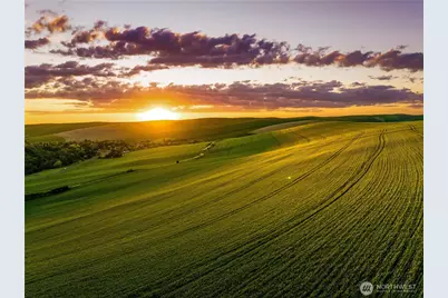 0 Lot 1 Biscuit Ridge Road, Walla Walla, WA 99362 - Photo 3