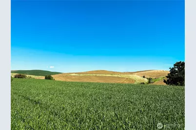 0 Lot 1 Biscuit Ridge Road, Walla Walla, WA 99362 - Photo 7