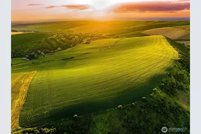 0 Lot 2 Biscuit Ridge Road, Dixie, WA 99329 - Photo 5