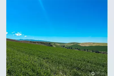 0 Lot 2 Biscuit Ridge Road, Dixie, WA 99329 - Photo 7