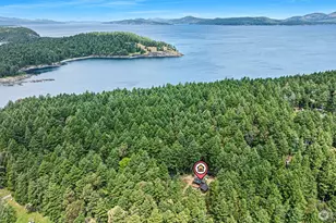35 N Airport Way, San Juan Island, WA 98250 - Photo 3