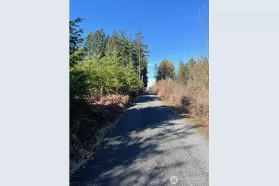 0 Winter Road, Winlock, WA 98596 - Photo 11