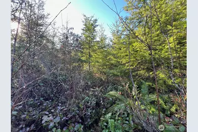 0 Winter Road, Winlock, WA 98596 - Photo 5