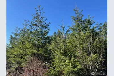 0 Winter Road, Winlock, WA 98596 - Photo 3