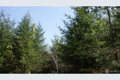 0 Winter Road, Winlock, WA 98596 - Photo 13