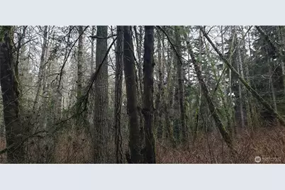 28 Xxx NE State Hwy 104, Kingston, WA 98346 - Photo 13