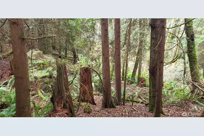 28 Xxx NE State Hwy 104, Kingston, WA 98346 - Photo 25