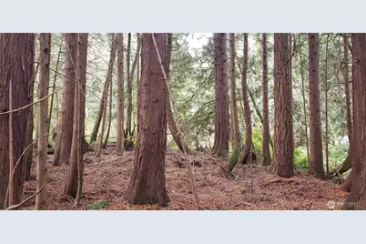 28 Xxx NE State Hwy 104, Kingston, WA 98346 - Photo 3