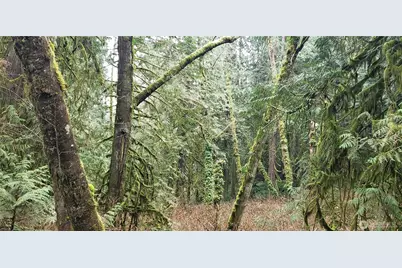 28 Xxx NE State Hwy 104, Kingston, WA 98346 - Photo 15