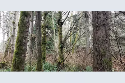 28 Xxx NE State Hwy 104, Kingston, WA 98346 - Photo 7