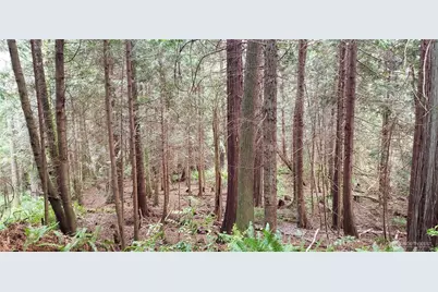 28 Xxx NE State Hwy 104, Kingston, WA 98346 - Photo 21