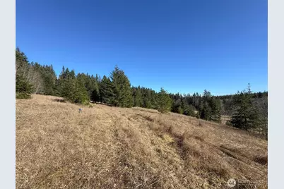 0 Nka Deer Park Road, Port Angeles, WA 98362 - Photo 21