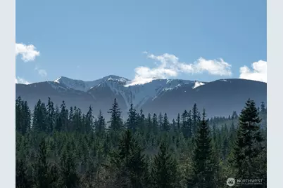 0 Nka Deer Park Road, Port Angeles, WA 98362 - Photo 17