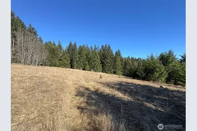 0 Nka Deer Park Road, Port Angeles, WA 98362 - Photo 15