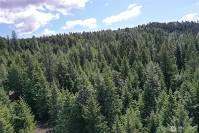 65 A Spring Meadow Lane, Oroville, WA 98844 - Photo 15