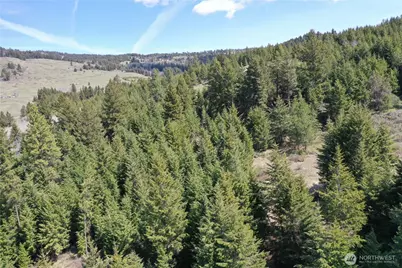 65 A Spring Meadow Lane, Oroville, WA 98844 - Photo 17