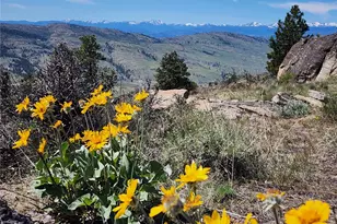 0 Morning Sun Rd, Tonasket, WA 98855 - Photo 31