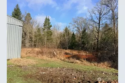 320 Pine Tree Road, Toledo, WA 98591 - Photo 7