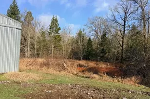 320 Pine Tree Rd, Toledo, WA 98591 - Photo 7