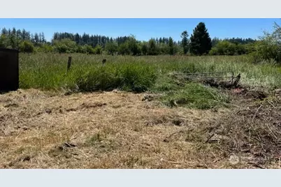 320 Pine Tree Road, Toledo, WA 98591 - Photo 15